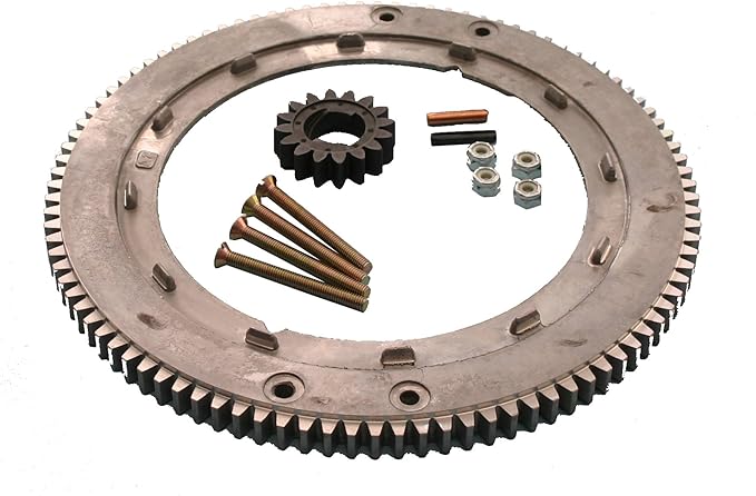 Briggs & Stratton 696537 Ring Gear